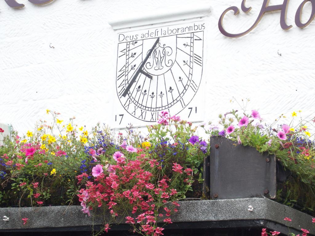 Bed & Breakfast Royal Oak 3*
